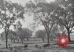 Standbild Farm Life Michigan United States USA, 1941, aus Sekunde 13 historischem Filmmaterial Videoclip 65675025828