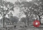 Standbild Farm Life Michigan United States USA, 1941, aus Sekunde 15 historischem Filmmaterial Videoclip 65675025828