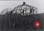 Image of wrecked zeppelin Greece, 1916, second 54 stock footage video 65675025843