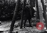 Image of dismantle bomb Belgium World War 1 Belgium, 1917, second 20 stock footage video 65675025848