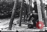Image of dismantle bomb Belgium World War 1 Belgium, 1917, second 24 stock footage video 65675025848