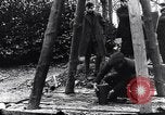 Image of dismantle bomb Belgium World War 1 Belgium, 1917, second 27 stock footage video 65675025848