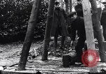 Image of dismantle bomb Belgium World War 1 Belgium, 1917, second 28 stock footage video 65675025848