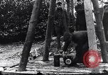 Image of dismantle bomb Belgium World War 1 Belgium, 1917, second 31 stock footage video 65675025848