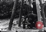 Image of dismantle bomb Belgium World War 1 Belgium, 1917, second 33 stock footage video 65675025848