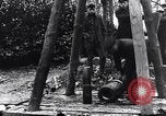 Image of dismantle bomb Belgium World War 1 Belgium, 1917, second 34 stock footage video 65675025848