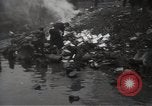 Image of illegal liquor seized and destroyed during prohibition United States USA, 1922, second 37 stock footage video 65675025852