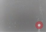 Standbild bewegenden Tag Washington DC USA, 1919, aus Sekunde 1 historischem Filmmaterial Videoclip 65675025863