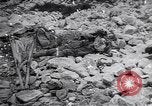 Standbild Herbst Scutari zu Montenegro Scutari Albanien, 1913, aus Sekunde 54 historischem Filmmaterial Videoclip 65675025867