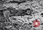 Standbild Herbst Scutari zu Montenegro Scutari Albanien, 1913, aus Sekunde 55 historischem Filmmaterial Videoclip 65675025867