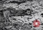 Standbild Herbst Scutari zu Montenegro Scutari Albanien, 1913, aus Sekunde 56 historischem Filmmaterial Videoclip 65675025867