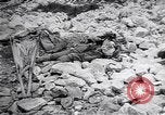 Standbild Herbst Scutari zu Montenegro Scutari Albanien, 1913, aus Sekunde 57 historischem Filmmaterial Videoclip 65675025867