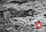 Standbild Herbst Scutari zu Montenegro Scutari Albanien, 1913, aus Sekunde 58 historischem Filmmaterial Videoclip 65675025867