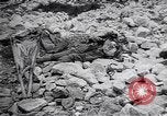 Standbild Herbst Scutari zu Montenegro Scutari Albanien, 1913, aus Sekunde 59 historischem Filmmaterial Videoclip 65675025867