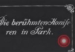 Standbild Hoheit Herr Erzherzog Österreich-ungarn, 1913, aus Sekunde 52 historischem Filmmaterial Videoclip 65675025876