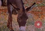 Standbild Szenen von eine straße Israel, 1968, aus Sekunde 3 historischem Filmmaterial Videoclip 65675025901