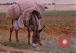 Standbild Szenen von eine straße Israel, 1968, aus Sekunde 4 historischem Filmmaterial Videoclip 65675025901