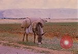 Standbild Szenen von eine straße Israel, 1968, aus Sekunde 5 historischem Filmmaterial Videoclip 65675025901