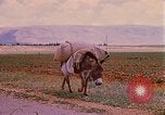 Standbild Szenen von eine straße Israel, 1968, aus Sekunde 6 historischem Filmmaterial Videoclip 65675025901