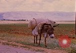 Standbild Szenen von eine straße Israel, 1968, aus Sekunde 7 historischem Filmmaterial Videoclip 65675025901