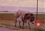 Standbild Szenen von eine straße Israel, 1968, aus Sekunde 8 historischem Filmmaterial Videoclip 65675025901
