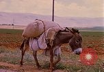 Standbild Szenen von eine straße Israel, 1968, aus Sekunde 9 historischem Filmmaterial Videoclip 65675025901