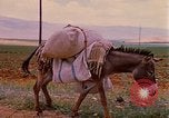 Standbild Szenen von eine straße Israel, 1968, aus Sekunde 10 historischem Filmmaterial Videoclip 65675025901
