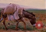 Standbild Szenen von eine straße Israel, 1968, aus Sekunde 11 historischem Filmmaterial Videoclip 65675025901