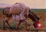 Standbild Szenen von eine straße Israel, 1968, aus Sekunde 12 historischem Filmmaterial Videoclip 65675025901