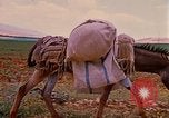 Standbild Szenen von eine straße Israel, 1968, aus Sekunde 13 historischem Filmmaterial Videoclip 65675025901