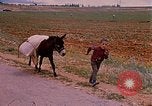 Standbild Szenen von eine straße Israel, 1968, aus Sekunde 15 historischem Filmmaterial Videoclip 65675025901