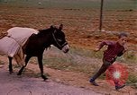 Standbild Szenen von eine straße Israel, 1968, aus Sekunde 17 historischem Filmmaterial Videoclip 65675025901