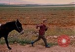 Standbild Szenen von eine straße Israel, 1968, aus Sekunde 19 historischem Filmmaterial Videoclip 65675025901