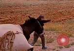 Standbild Szenen von eine straße Israel, 1968, aus Sekunde 23 historischem Filmmaterial Videoclip 65675025901