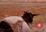 Standbild Szenen von eine straße Israel, 1968, aus Sekunde 24 historischem Filmmaterial Videoclip 65675025901