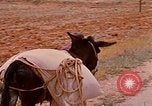 Standbild Szenen von eine straße Israel, 1968, aus Sekunde 25 historischem Filmmaterial Videoclip 65675025901