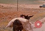 Standbild Szenen von eine straße Israel, 1968, aus Sekunde 27 historischem Filmmaterial Videoclip 65675025901