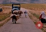 Standbild Szenen von eine straße Israel, 1968, aus Sekunde 36 historischem Filmmaterial Videoclip 65675025901