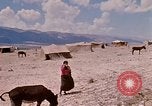 Standbild arabischen Flüchtlinge Israel, 1968, aus Sekunde 6 historischem Filmmaterial Videoclip 65675025902