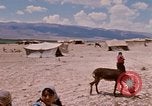 Standbild arabischen Flüchtlinge Israel, 1968, aus Sekunde 32 historischem Filmmaterial Videoclip 65675025902