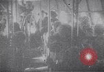 Image of passenger flight United States USA, 1923, second 19 stock footage video 65675025928