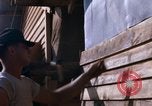 Image of Soldiers building a mess hall Vietnam, 1967, second 34 stock footage video 65675025930