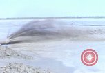 Image of dredging operations Vietnam, 1967, second 9 stock footage video 65675025932