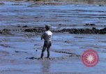 Image of dredging operations Vietnam, 1967, second 30 stock footage video 65675025932