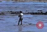Image of dredging operations Vietnam, 1967, second 31 stock footage video 65675025932