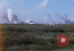 Image of Republic of Vietnam soldiers Vietnam, 1967, second 15 stock footage video 65675025939