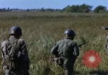 Image of Republic of Vietnam soldiers Vietnam, 1967, second 27 stock footage video 65675025939