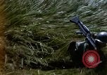Image of Republic of Vietnam soldiers Vietnam, 1967, second 33 stock footage video 65675025939