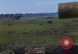 Image of ARVN operation in Vietnam War Vietnam, 1967, second 5 stock footage video 65675025940