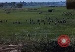 Image of ARVN operation in Vietnam War Vietnam, 1967, second 6 stock footage video 65675025940